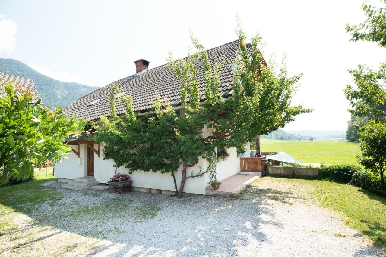 Mateja House - Apartments In Zirovnica Rodine ภายนอก รูปภาพ
